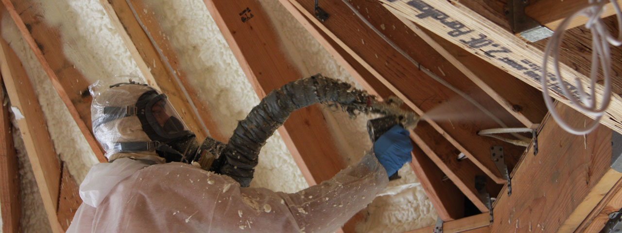 Langley Virginia Attic Insulation Spray Foam